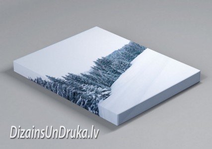 KanvasParaugaAttels-2 Печать на холсте с зимним лесным пейзажем и заснеженными деревьями