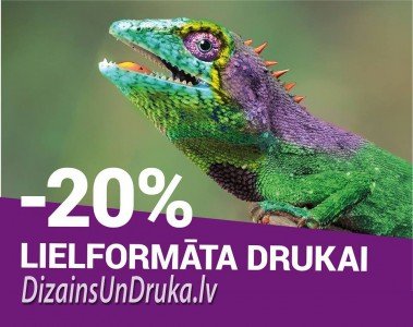 akcija_lielformata_druka-1 Colorful lizard with -20% sale text for large format printing
