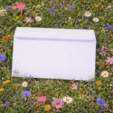 Balta aploksne uz pļavas ziedu fona individuālai apdrukai